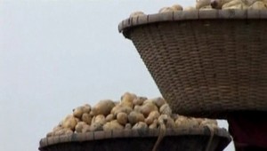 Škole v Lučenci zmizli tri tony zemiakov