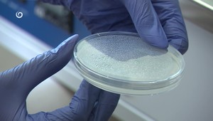 Kde sa nakazil Tomáško? Jeho rodina je už desať mesiacov bez odpovedí