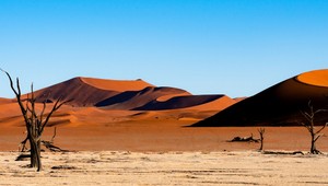 Záhadný objav v púšti: Masový hrob s egyptským amuletom