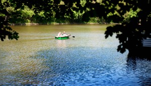 Dve tony keksíkov skončili v rybníkoch pri Malackách. Ľudia sú zhrození