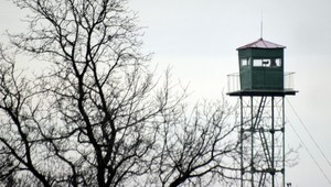 Poľovník našiel na slovensko-ukrajinskej hranici mŕtvolu, polícia mlčí