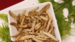 Hamburger a mäsové guľky z červov. Novinka v ponuke známeho reťazca