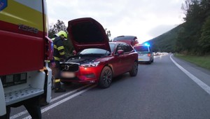 Kolízia s medveďom spôsobila nehodu dvoch áut. Jedna žena sa zranila