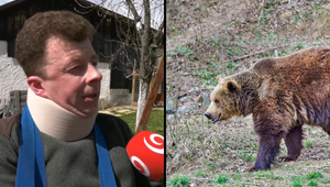 ROZHOVOR: Lesník prezradil podrobnosti o útoku medveďa. Zachránil ho inštinkt