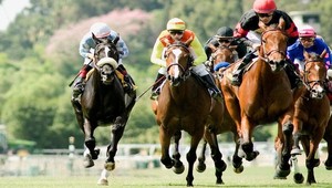 Tri slovenské kone na Rakúskom derby