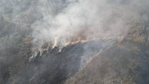 V lese s ťažko dostupným terénom v obci Kuchyňa vypukol požiar