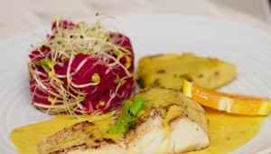 Hlavné jedlo: Bezzubý čakať nemusí