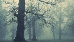 Aj počasie na Dušičky zosmutnie. Čaká nás výrazná zmena