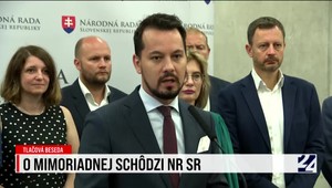 Tlačová beseda strany Demokrati k mimoriadnej schôdzi