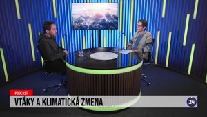 Vtáky a klimatická zmena