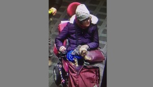Policajti vyšetrujú krádež. Podozrivá je žena na invalidnom vozíku