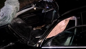 Pri vážnej nehode sa dostal po náraze za volant auta mladý jeleň