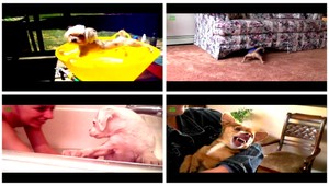 VIDEO. Keď sa psíci nechcú kúpať dokážu toto...