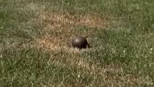 Na súd v prípade dievčaťa trafeného kovovou guľou učitelia neprišli