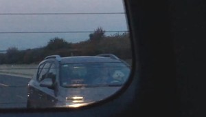 VIDEO: Pes za volantom? Divákovi sa na diaľnici podarilo nakrútiť nezvyčajný úkaz