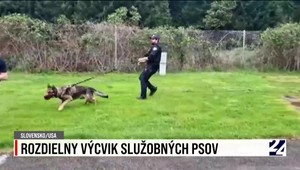 Rozdiely vo výcviku policajných psov u nás a za oceánom
