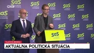 Tlačová beseda strany SaS o aktuálnej politickej situácii