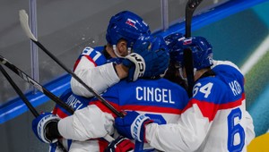 Povinné víťazstvo Slovákov s odretými ušami