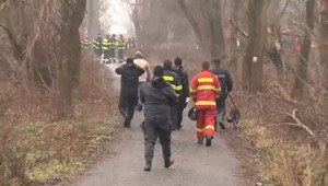 Kým väčšinu psov vrátili majiteľom, nezvestnú Miroslavu hľadajú naďalej