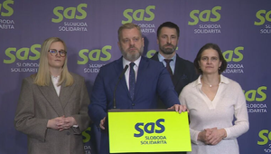 Tlačová beseda strany SaS: Uznesenie ku Grónsku