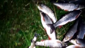 Zinok potrebujeme na fungovanie stoviek enzýmov  v našom tele. Nájdete ho v týchto 10 potravinách!