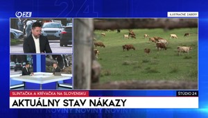 Štúdio 24: Aktuálny stav nákazy