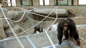 Otvorili pavilón pre primáty!