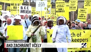 Pomáhať včelám je kľúčové pre naše prežitie