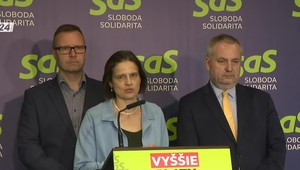 Tlačová beseda SaS v reakcii na novelu Ústavy