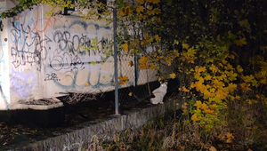 V okolí depa v Trnave hlásili streľbu. Podozrivého zadržali