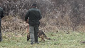 V kríkoch našli zmlátenú ženu, mohla tam byť aj niekoľko dní