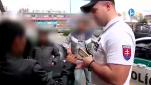 VIDEO: Žena ukázala pri dychovej skúške všetko, polícia má problém