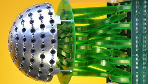 Pohľad na svet okom muchy. Ako to vidí ona