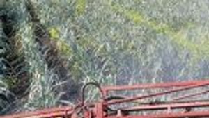 Francúzsko zakáže dovoz potravín obsahujúcich pesticídy, ktoré EÚ nepovoľuje