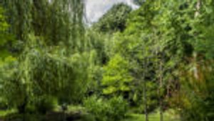 V európskych mestách majú lepší prístup k zeleni ľudia s vyšším príjmom