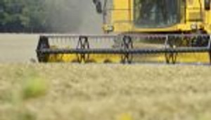 M. Beňová: Väčšia flexibilita musí ísť ruka v ruke so stabilným financovaním farmárov