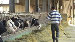 EP: Schválenie opatrení podpory poľnohospodárov v potravinovom dodávateľskom reťazci﻿