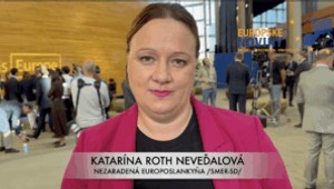 Katarína Roth Neveďalová: Nepodporili sme ďalší návrh zbrojenia