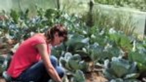 Vývoz agropotravinárskych výrobkov z EÚ sa v júli 2025 zvýšil