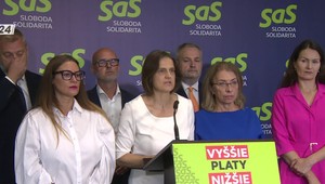 Tlačová beseda SaS k riešeniam na ochranu žien