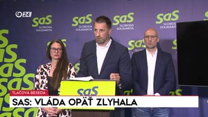 Tlačová beseda strany SaS: Vláda opäť zlyhala