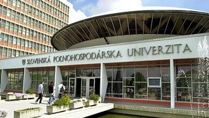 Absolventi to majú tento rok kvôli kríze ťažšie