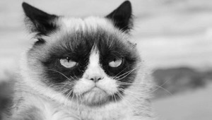 Najznámejšia mačka sa už mračí v nebi