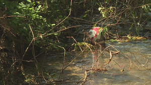 Úraz elektrickým prúdom. Štrnásťročný chlapec bojuje o život