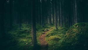 Egypťania zúria: Záhadná pyramída 400 kilometrov od Slovenska