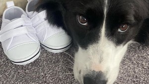 Úžasný začiatok roka pre svetovú hviezdu. Čaká prvé BÁBÄTKO!