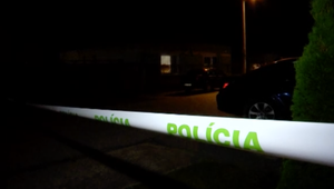 Otázky na temnú minulosť priateľa sa jej stali osudným. Matku dvoch detí údajne dobodal jej priateľ