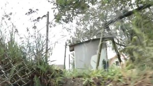 V Stupave úraduje záhadná zlodejka. Kým ľudia pracujú v záhrade, ona kradne kabelky a osobné veci