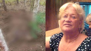 Išli na huby a zmizli. Dve seniorky našli zahrabané v zemi, obe mal zabiť medveď