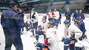 Slovákov budú hnať dopredu aj Peter Nagy, Pavol Habera či raper Ego